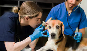 Hands-On Learning at Arasu Farms Business College