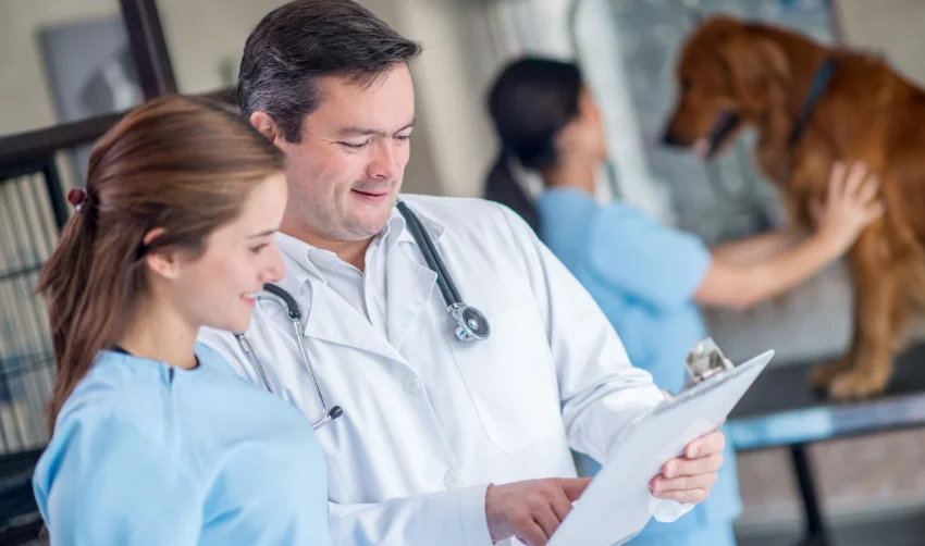 Diploma in Veterinary Inspector