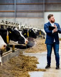 Diploma in Livestock Inspector